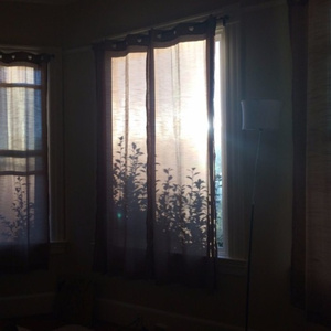 优酸乳m8u和m8u哪个更健康
