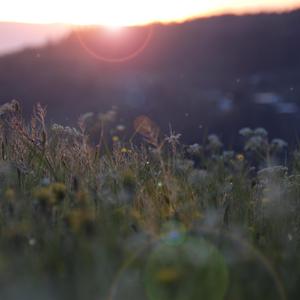 优酸乳m8u和m8u哪个更健康
