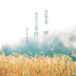 优酸乳m8u和m8u哪个更健康
